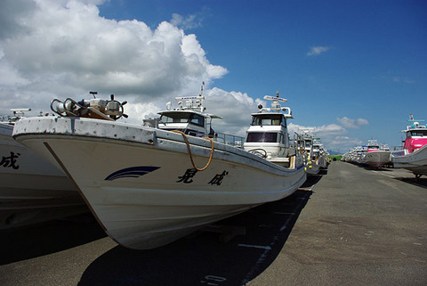 IMGP9744.jpg