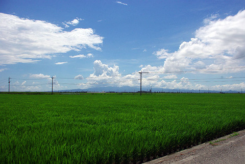 IMGP9750.jpg