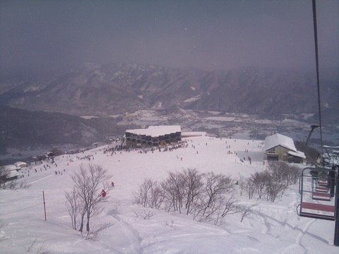 2010-12-31 12.34.22.jpg